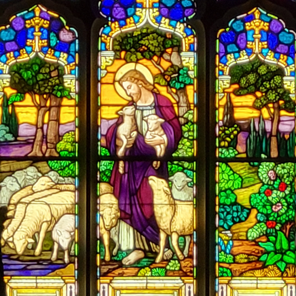 Christianity 101: Exploring Faith for Grownups